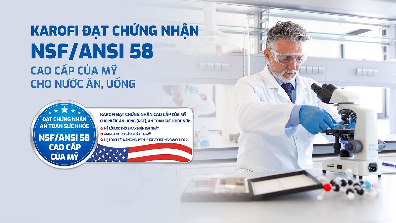 Máy lọc nước Karofi KAQ-D36S